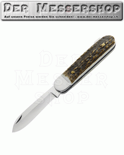 Jagd-Taschenmesser, AISI 420, Hirschhorn