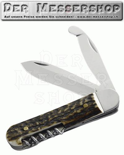 Jagd-Taschenmesser, 3-teilig, AISI 420, Hirschhorn, mit Aufbrech